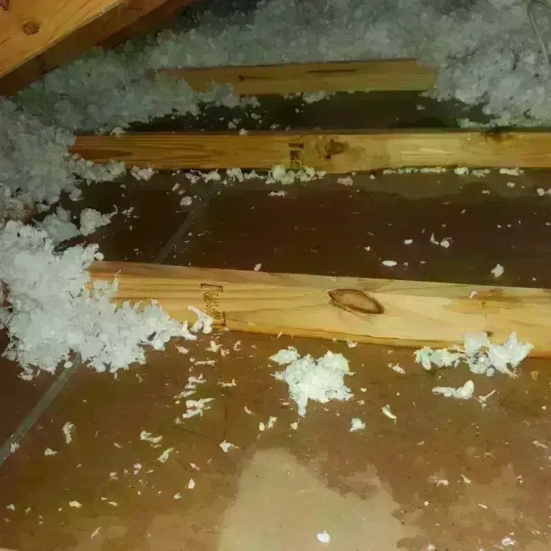 Attic Water Damage in Gurnee, IL