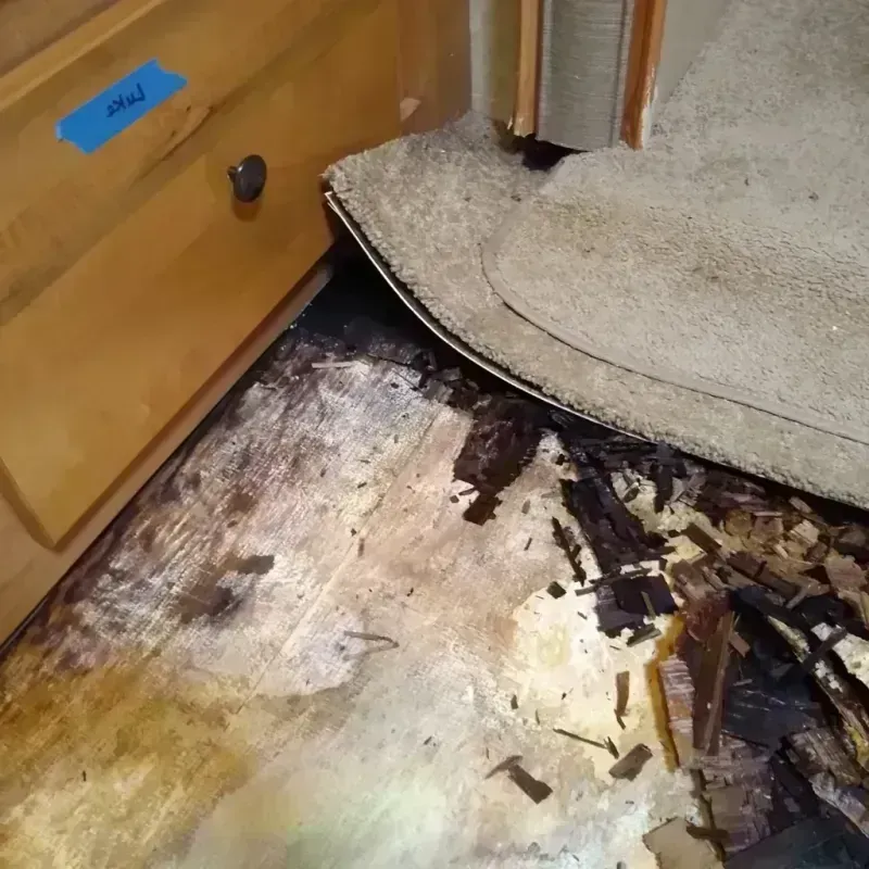 Wood Floor Water Damage in Gurnee, IL